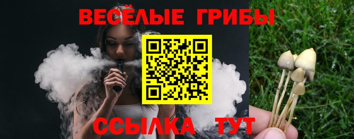 Новочебоксарск  Псилоцибиновые грибы мухоморы  Вход с VPN  Псилоцибиновые грибы Magic Shrooms 