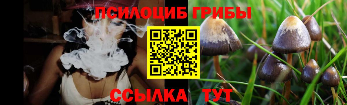 Псилоцибиновые грибы Cubensis Новочебоксарск